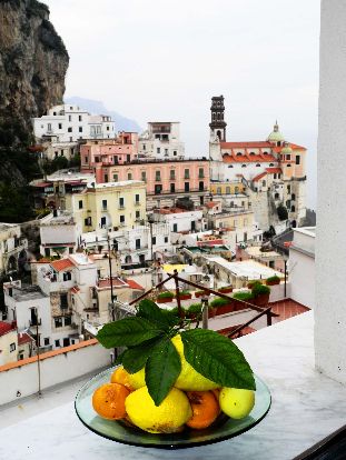 vista-4_1764091078622 vista-4_1764091078622